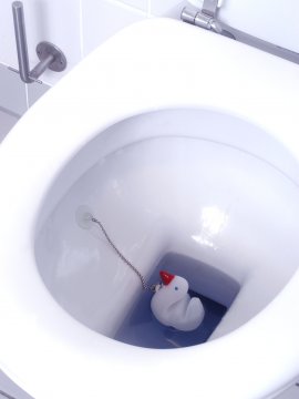 WC-Duft-Ente_