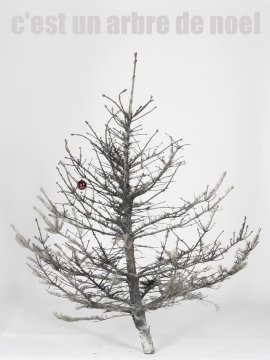 C'EST UN ARBRE DE NOEL_