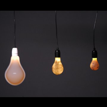 bulbs_