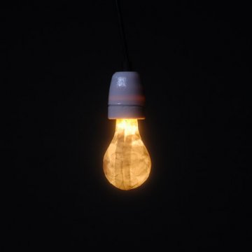 bulbs_